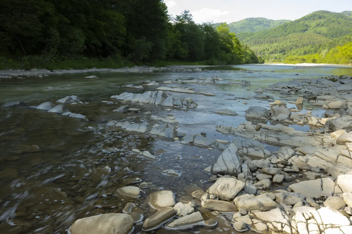 Кам'янисте русло гірської річки, світле каміння біля води, за річкою лісисті гори