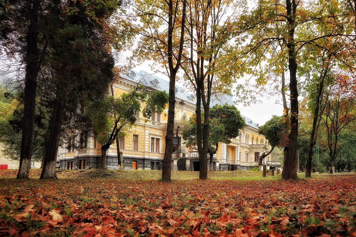Осінній парк: високі дерева, земля вкрита рудим листям, за деревами жовта будівля палацу